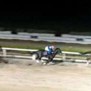 ヒメ日記 2025/11/26 18:43 投稿 ねね sweet kiss