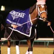 ヒメ日記 2025/11/27 14:19 投稿 ねね sweet kiss