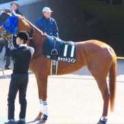 ヒメ日記 2025/12/03 08:29 投稿 ねね sweet kiss