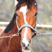 ヒメ日記 2025/12/03 20:09 投稿 ねね sweet kiss