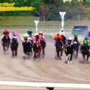 ヒメ日記 2025/12/08 17:42 投稿 ねね sweet kiss