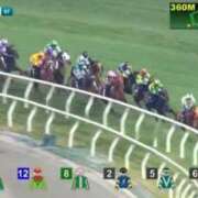 ヒメ日記 2025/12/11 14:29 投稿 ねね sweet kiss