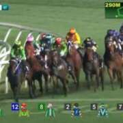 ヒメ日記 2025/12/11 14:34 投稿 ねね sweet kiss