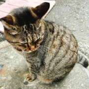 ヒメ日記 2025/12/12 11:19 投稿 ねね sweet kiss