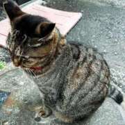 ヒメ日記 2025/12/13 07:29 投稿 ねね sweet kiss