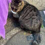 ねね スイキスご来店の際には sweet kiss