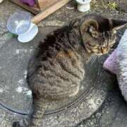 ヒメ日記 2025/12/26 10:19 投稿 ねね sweet kiss