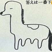 ヒメ日記 2025/12/28 15:09 投稿 ねね sweet kiss