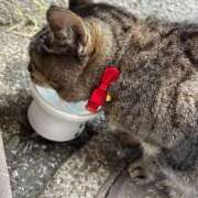 ヒメ日記 2025/12/28 15:29 投稿 ねね sweet kiss