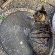 ヒメ日記 2026/01/13 00:20 投稿 ねね sweet kiss