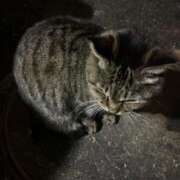 ヒメ日記 2026/01/13 22:39 投稿 ねね sweet kiss