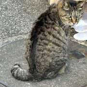 ヒメ日記 2026/01/25 14:49 投稿 ねね sweet kiss