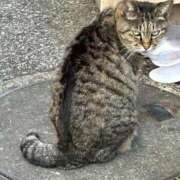 ヒメ日記 2026/01/25 14:50 投稿 ねね sweet kiss