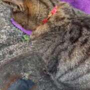 ヒメ日記 2026/01/30 16:29 投稿 ねね sweet kiss