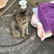 ヒメ日記 2026/02/19 11:11 投稿 ねね sweet kiss