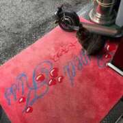 ヒメ日記 2026/02/22 08:59 投稿 ねね sweet kiss