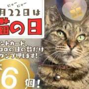 ヒメ日記 2026/02/22 13:29 投稿 ねね sweet kiss