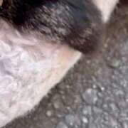 ヒメ日記 2026/03/15 09:39 投稿 ねね sweet kiss