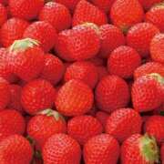 ねね 🍓  I love strawberries. 🍓 sweet kiss