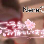 ヒメ日記 2026/04/02 08:29 投稿 ねね sweet kiss