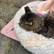 ヒメ日記 2026/04/15 08:49 投稿 ねね sweet kiss