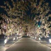 ヒメ日記 2026/07/07 03:19 投稿 ねね sweet kiss