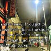 ヒメ日記 2026/07/29 00:29 投稿 ねね sweet kiss
