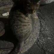 ヒメ日記 2026/08/05 21:59 投稿 ねね sweet kiss