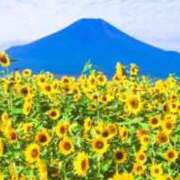 ヒメ日記 2026/08/11 08:12 投稿 ねね sweet kiss