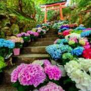 ヒメ日記 2026/09/05 22:09 投稿 ねね sweet kiss