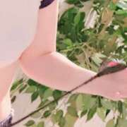 ヒメ日記 2025/02/23 14:04 投稿 キュリお嬢様 M&m Maidとm男の夢物語。