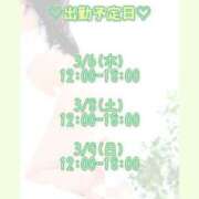 ヒメ日記 2025/03/05 13:39 投稿 キュリお嬢様 M&m Maidとm男の夢物語。