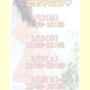 ヒメ日記 2025/03/06 15:09 投稿 キュリお嬢様 M&m Maidとm男の夢物語。