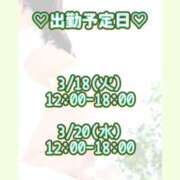 ヒメ日記 2025/03/17 00:02 投稿 キュリお嬢様 M&m Maidとm男の夢物語。