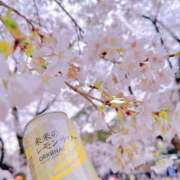 ヒメ日記 2025/04/04 11:45 投稿 キュリお嬢様 M&m Maidとm男の夢物語。