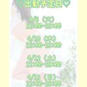 ヒメ日記 2025/04/04 13:22 投稿 キュリお嬢様 M&m Maidとm男の夢物語。