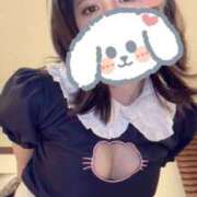 ヒメ日記 2025/04/18 11:01 投稿 キュリお嬢様 M&m Maidとm男の夢物語。