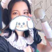 ヒメ日記 2025/04/18 13:21 投稿 キュリお嬢様 M&m Maidとm男の夢物語。