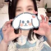 ヒメ日記 2025/05/14 18:31 投稿 キュリお嬢様 M&m Maidとm男の夢物語。