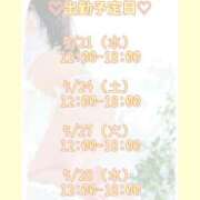 ヒメ日記 2025/05/18 14:02 投稿 キュリお嬢様 M&m Maidとm男の夢物語。