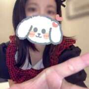 ヒメ日記 2025/06/14 18:15 投稿 キュリお嬢様 M&m Maidとm男の夢物語。