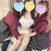 ヒメ日記 2025/07/21 19:28 投稿 キュリお嬢様 M&m Maidとm男の夢物語。