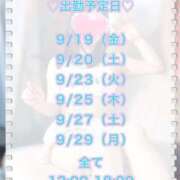 ヒメ日記 2025/09/17 13:36 投稿 キュリお嬢様 M&m Maidとm男の夢物語。