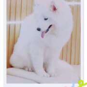 ヒメ日記 2025/09/18 23:10 投稿 キュリお嬢様 M&m Maidとm男の夢物語。