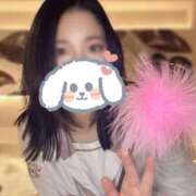 ヒメ日記 2025/10/16 19:09 投稿 キュリお嬢様 M&m Maidとm男の夢物語。