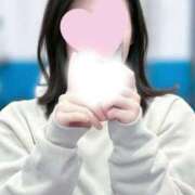 ヒメ日記 2026/02/18 14:52 投稿 キュリお嬢様 M&m Maidとm男の夢物語。