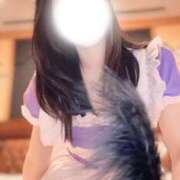 ヒメ日記 2026/02/22 23:02 投稿 キュリお嬢様 M&m Maidとm男の夢物語。