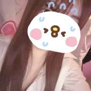 ヒメ日記 2025/04/03 00:30 投稿 らら みつばちマーヤZ