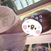 ヒメ日記 2025/06/03 18:49 投稿 らら みつばちマーヤZ