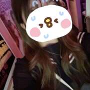 ヒメ日記 2025/11/03 19:40 投稿 らら みつばちマーヤZ